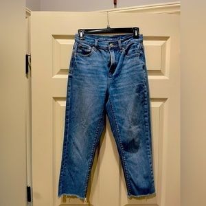 Size 0 American Eagle Mom Jean